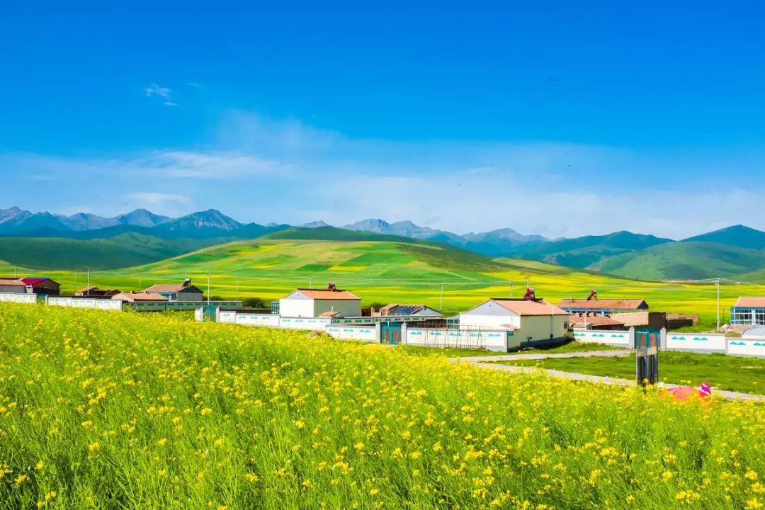 青海旅游景点大全(青海旅游景点大全自驾游) 青海旅游景点大全(青海旅游景点大全自驾游)