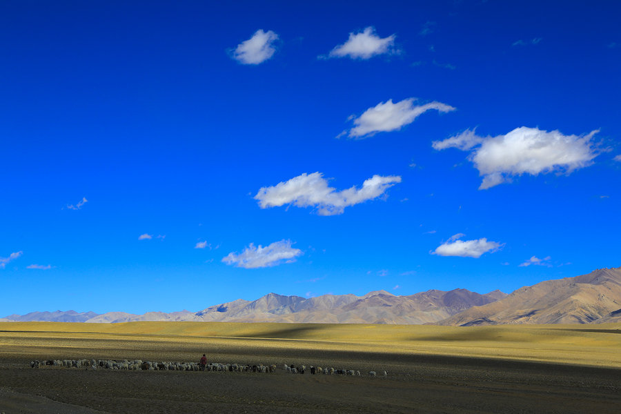 {老虎機}(阿里旅游几月份最好)